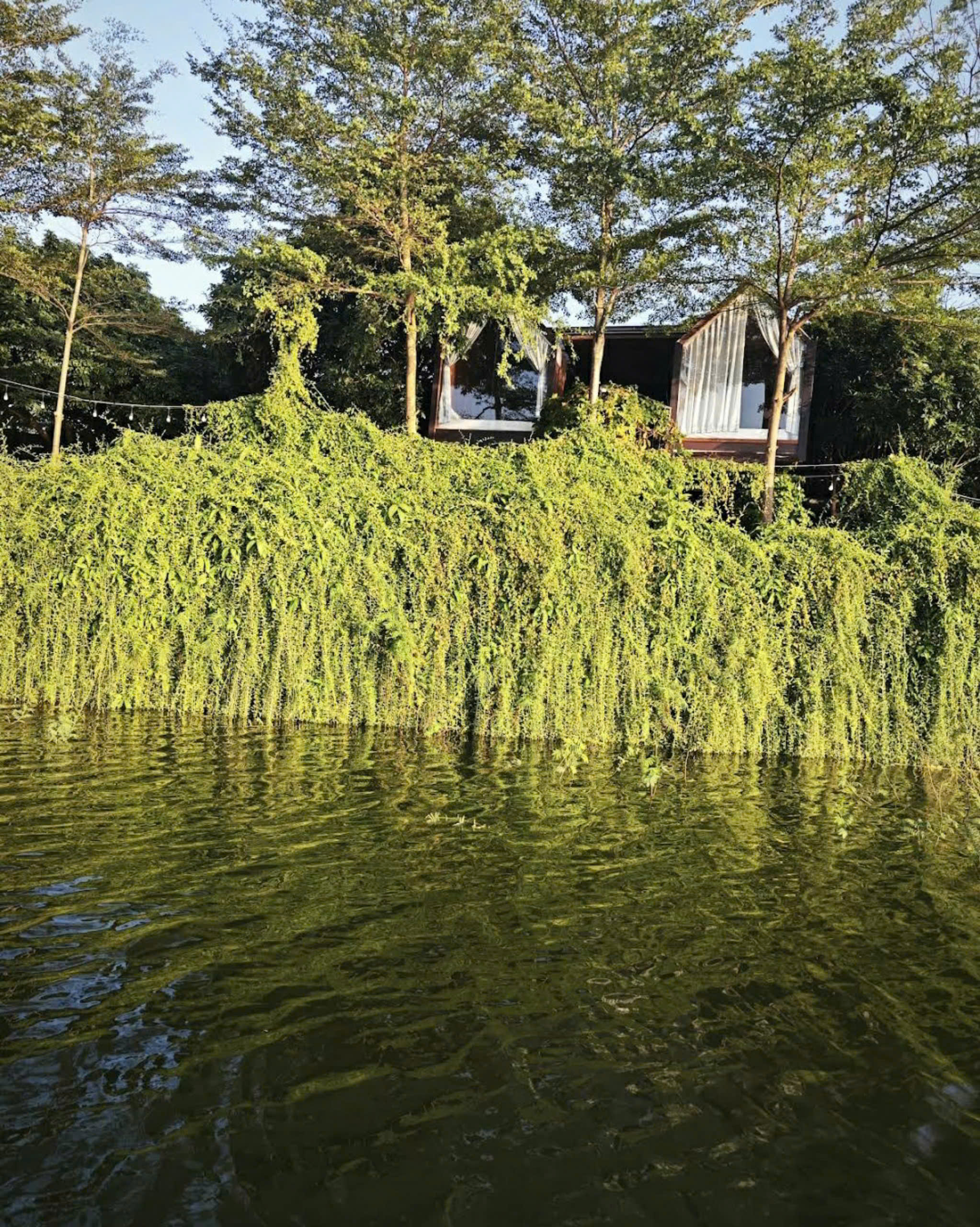Phòng Mây