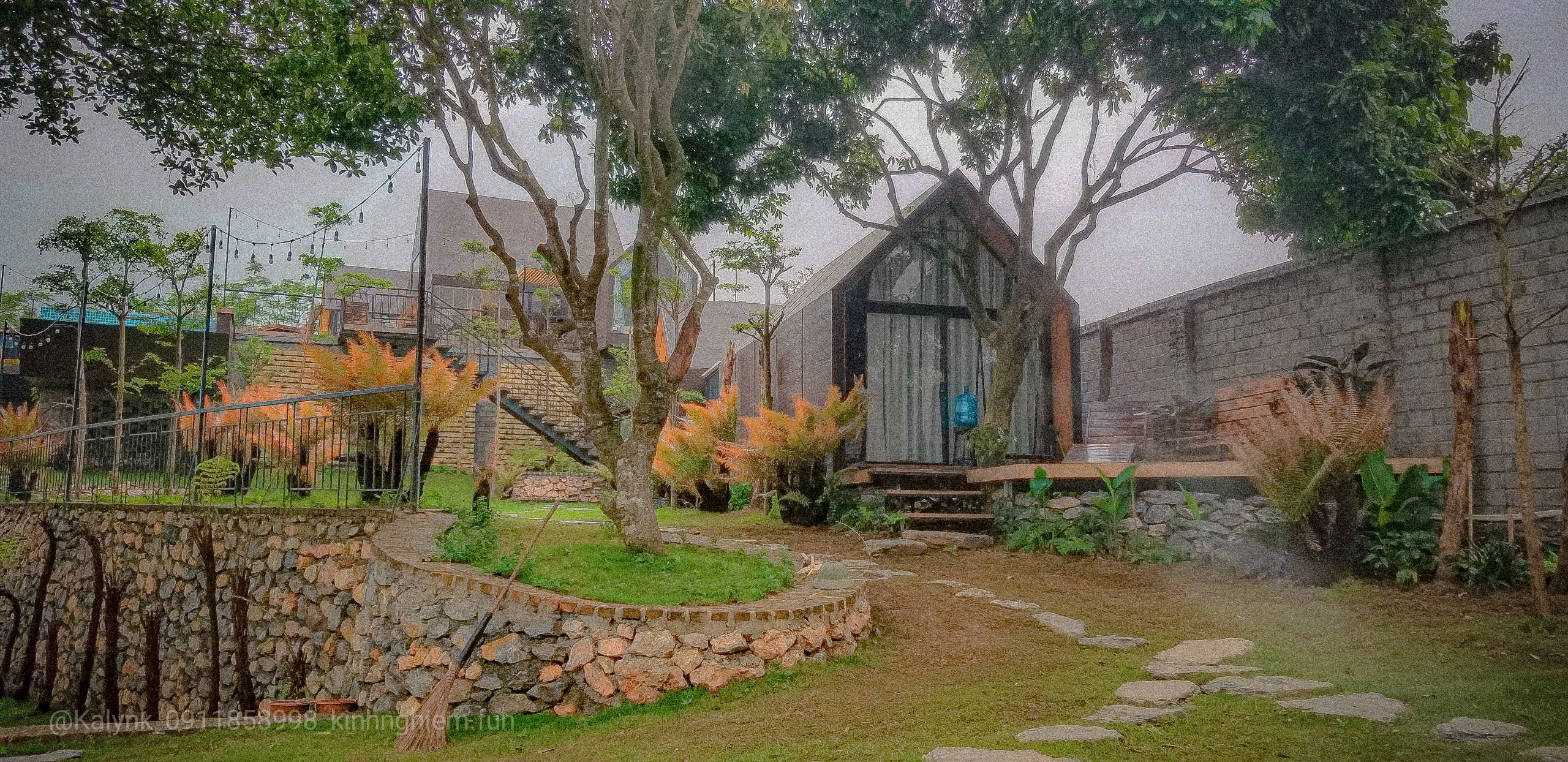 Phòng Mơ