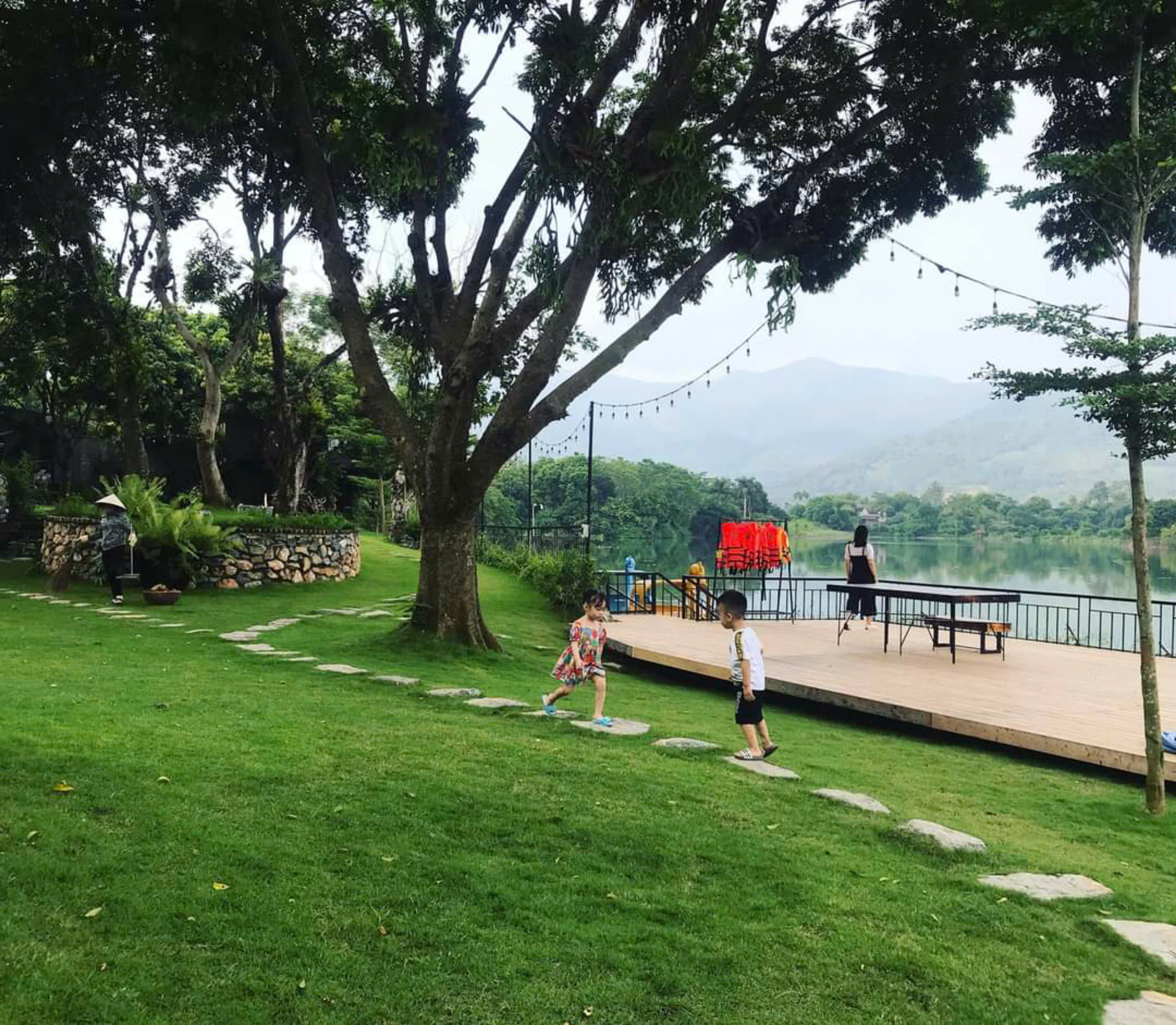 Mưa - Rain