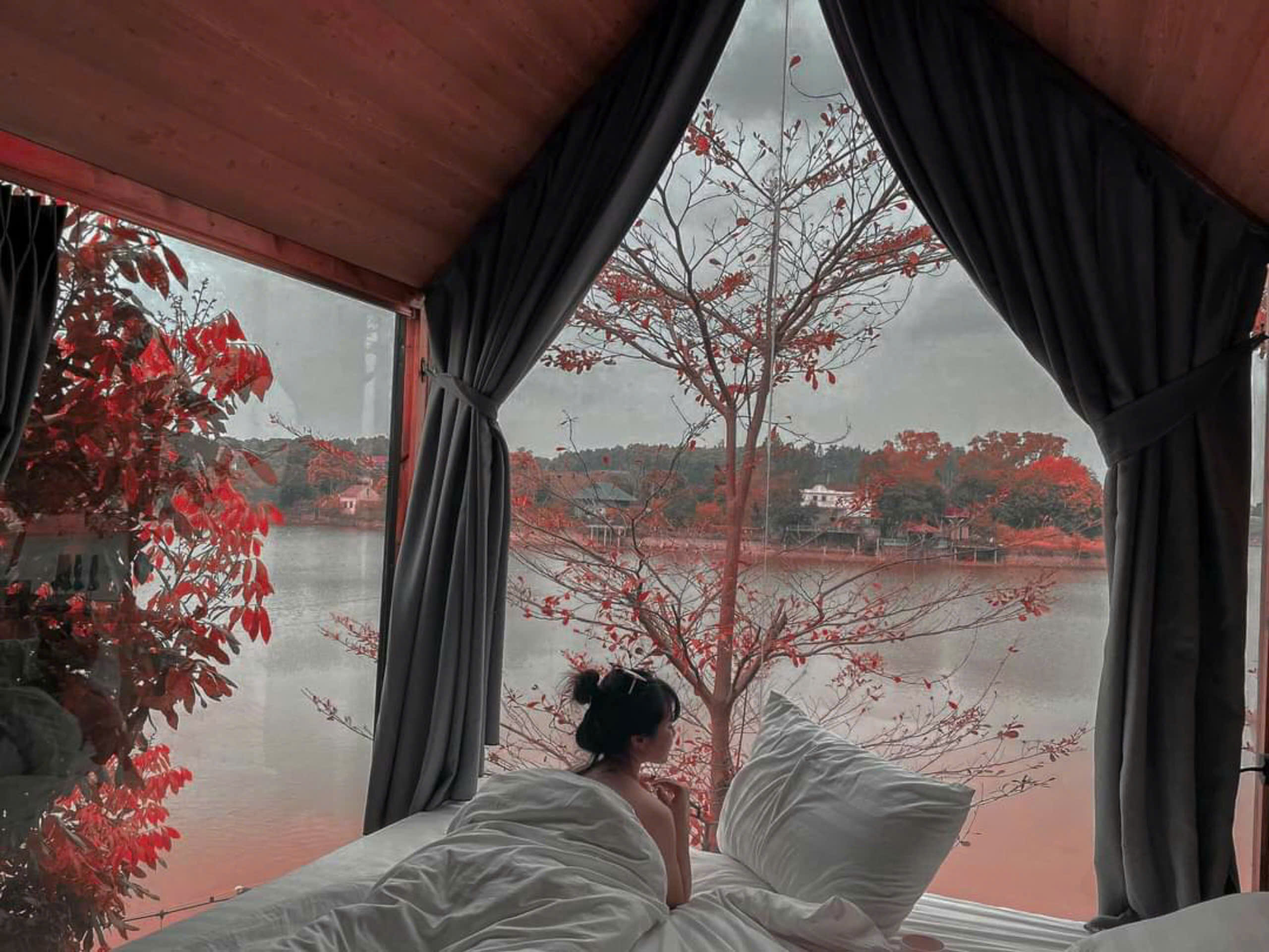 Mưa - Rain