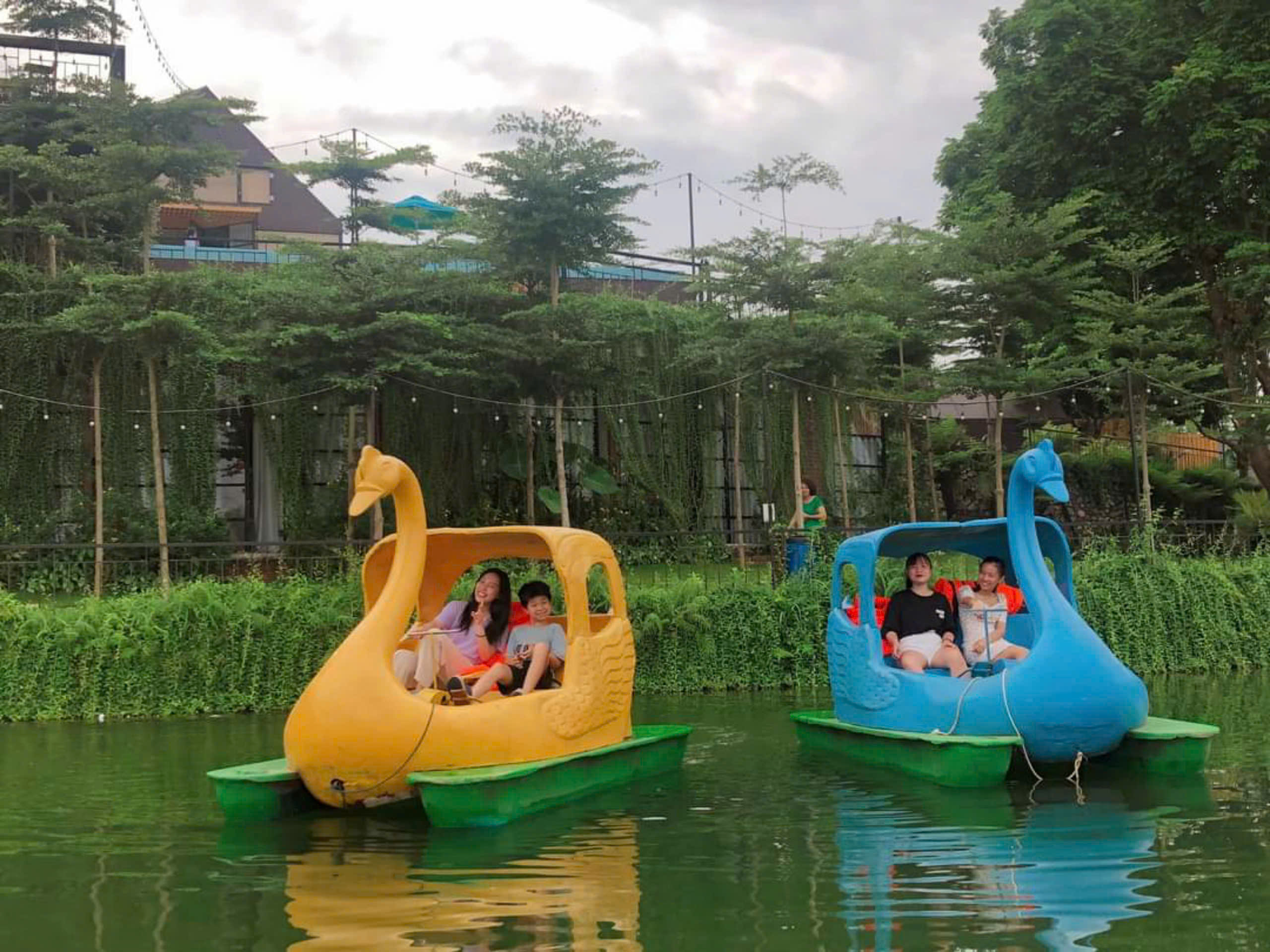 Mưa - Rain