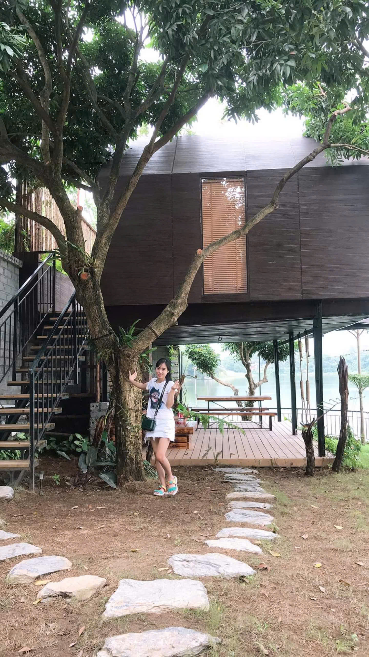 Mưa - Rain