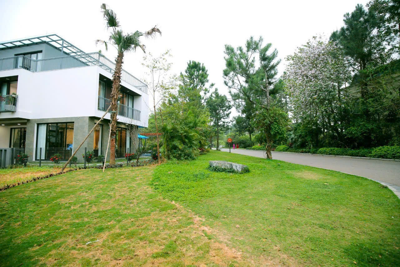 Villa 6p 6BP110